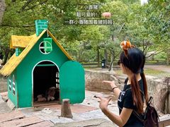 -宁波野生动物园