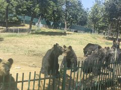 -秦皇岛野生动物园