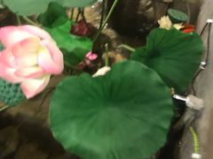-灶东家民间菜(回兴店)
