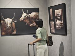-银川河东国际机场