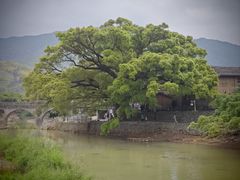-云水谣景区