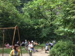 -青峰峡国家森林公园