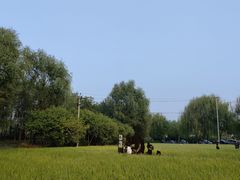 -北坞公园