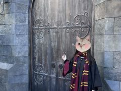 -E·S哈利正版魔法袍出租体验馆