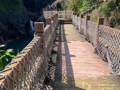 -广州白江湖森林公园