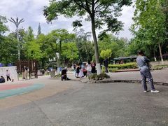 -成飞公园