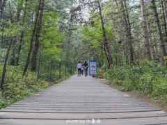 -帽儿山国家森林公园