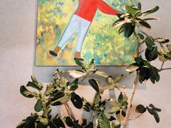 -gaga(北京新中关购物中心店)