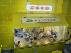 -神奇动物撸宠馆·羊驼·小浣熊·异宠(豫园店)