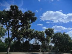 -太原动物园