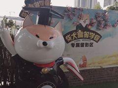 -柴犬高等学院·狗咖·柴犬售卖·宠物训练