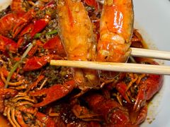 -杨氏青龙虾·羊蝎子(托乐嘉店)