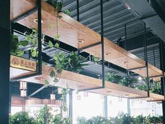 -桃源村铁锅炖鱼(体育馆道店)