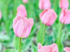 -长春公园(普阳街道)