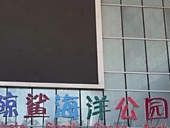 -烟台海昌鲸鲨海洋公园