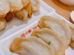 鲜肉锅贴-小姜锅贴(凤凰街店)