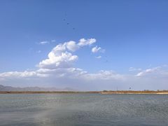 -野鸭湖国家湿地公园