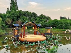 -长田漾湿地公园
