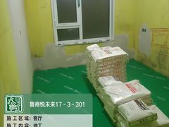 -大树装饰·十年本土家装