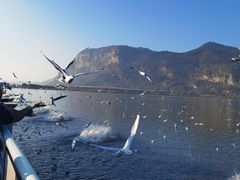 -海埂大坝