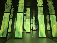 -中国湿地博物馆