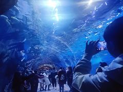 -华夏文旅海洋公园