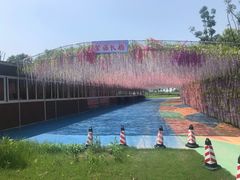 -洪湖湿地生态园