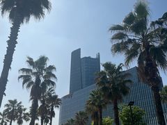 -金沙湖公园