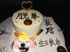 -潇哥哥家的蛋糕店