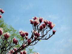 -大运河源头遗址公园