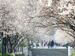 -山东师范大学(千佛山校区)