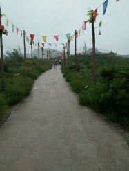 -窦王岭景区游乐场