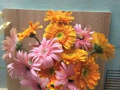 -双季花艺园艺市场(浦东店)