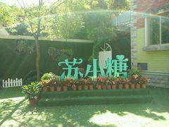 -苏小糖(鼓浪屿三丘田花园店)