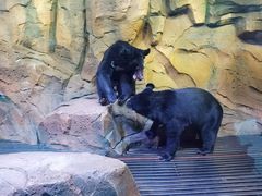 -波塞冬旅游度假区