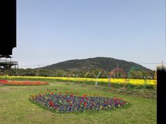 -苏州太湖西山岛开心农场