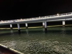 -演武大桥观景平台