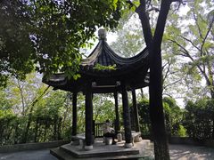 -伯先公园
