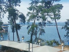 -宝荣鱼馆·临湖之宴(千岛湖店)