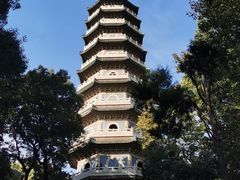 -灵谷景区