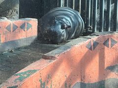 -鄂尔多斯野生动物园