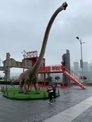 -恐龙探索乐园(磁器口店)