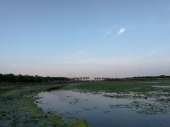 -天津东丽湖风景区