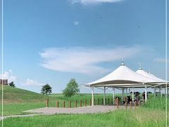 -黑龙江扎龙生态旅游区