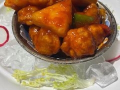 -点都德·毕德寮