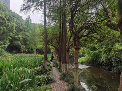 -重庆彩云湖湿地公园