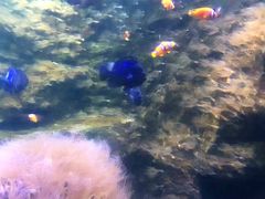 -台州海洋世界