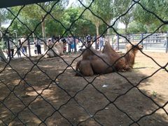 -长白岛森林公园