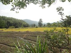 -塔川景区