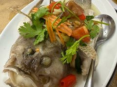 清蒸石斑鱼-金龙酒家